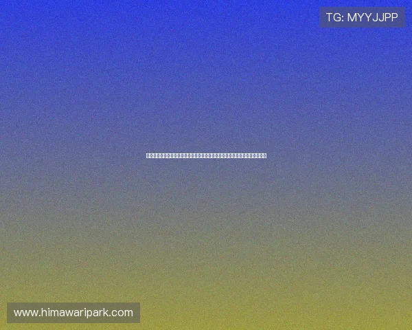 开云娱乐投注结合世界杯赛事，推出丰富的优惠活动与投注奖励，提升用户体验